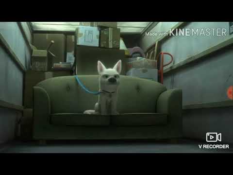 Видео: Вольт: Клип "Кто тебе сказал?" (Чит. Опис.)