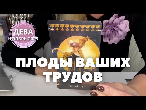 Видео: Дева НОЯБРЬ 2025 : ПЛОДЫ ВАШИХ ТРУДОВ | Таро прогноз