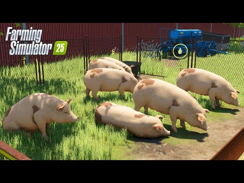 Видео: Завещание от дяди #1 . Завел свиней . Первый Урожай в Farming simulator 25 на карте Донской Край.