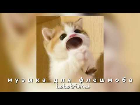 Видео: ♡музыка для флешмоба♡