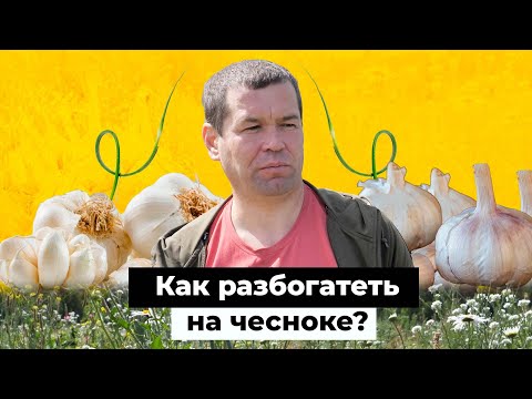 Видео: Бизнес по чесноку. Как казанец уехал в деревню и создал бизнес на горькой траве