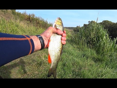 Видео: Рыбалка в верховьях Дона. Шикарные места.