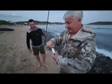 Видео: Рыбалка в ливадии 4й пляж. Что ловится? Сколько поймали? #блогВладивосток