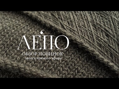 Видео: Обзор новинок ЛЕПО! Запись прямого эфира 19.12.2023