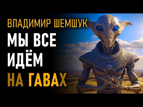 Видео: Мы все идём на гаввах. Владимир Шемшук