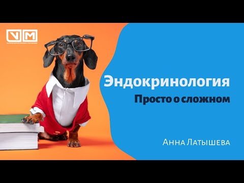 Видео: Эндокринология. Просто о сложном