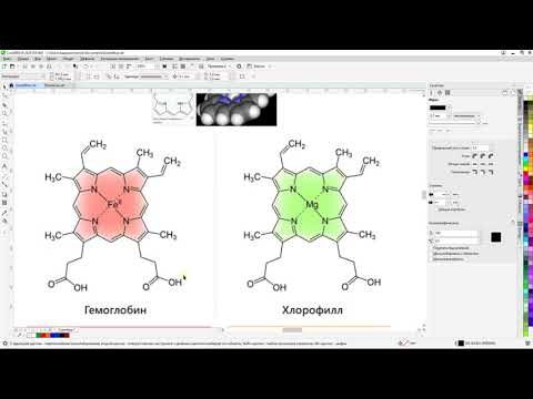 Видео: Онко-логика: Свето-музыка жизни (30.03.2024)