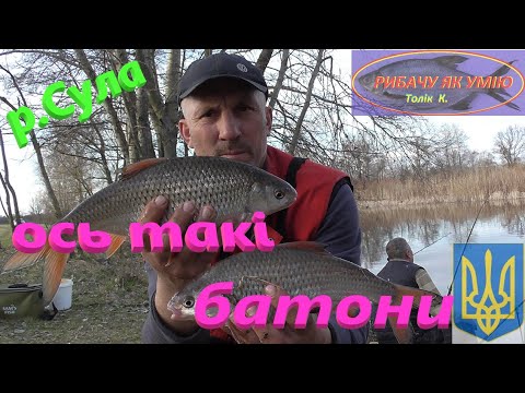 Видео: #СУЛА # Ось такі БАТОНИ #РибачуЯкУмію