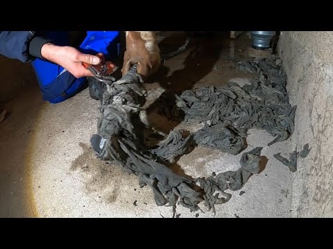 Видео: Kempinger 345. Безумие влажной салфетки с непредвиденными трудностями и последующей работой