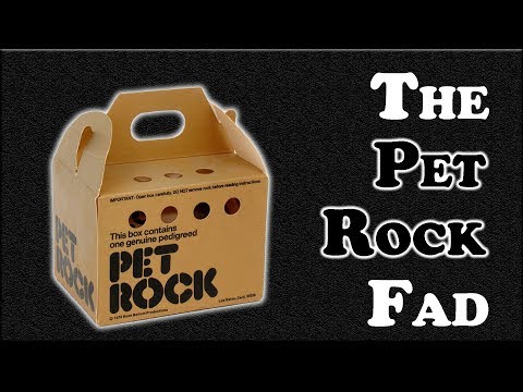 Видео: Мода на Pet Rock — настолько же безумна, как это звучит?