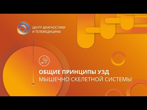 Видео: Общие принципы ультразвуковой диагностики мышечно скелетной системы
