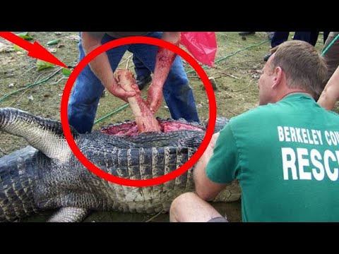 Видео: АДАМЗАТ ТАРИХЫНДАҒЫ КӨП АДАМДАРДЫ ӨЛТІРІП ЖЕГЕН ЕҢ ТАНЫМАЛ ЖЫРТҚЫШ ЖАНУАРЛАР ТІЗІМІ. 1 БӨЛІМ. ПАЗЛ