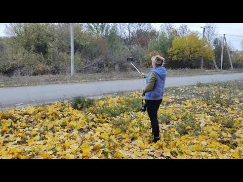 Видео: НАБРАЛИ З ПОДРУГОЮ  ОПАДУ ТА ЗАМУЛЬЧУВАЛА РОСЛИНИ!