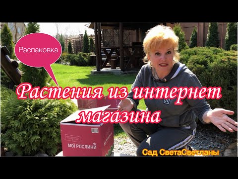 Видео: Растения из интернет магазина Флориум. Распаковка. Что делать если возникают Вопросы? Сад.Дача.Цветы