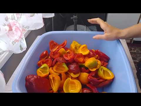 Видео: Маринований перець з медом — найсмачніший рецепт на зиму! 🫑🍯