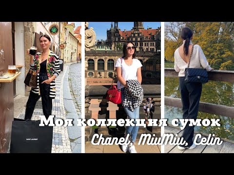 Видео: Моя коллекция сумок| Chanel, MiuMiu, Celin и др….