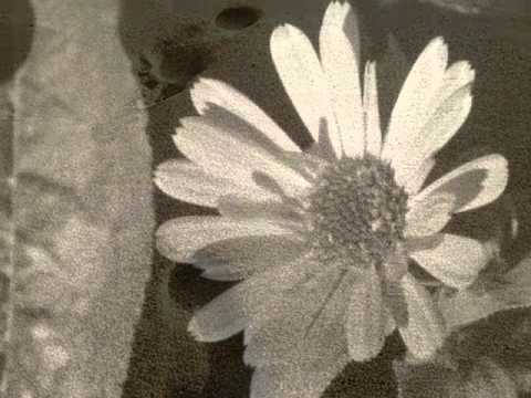 Видео: Стоян Иванов - Отрова на греховете