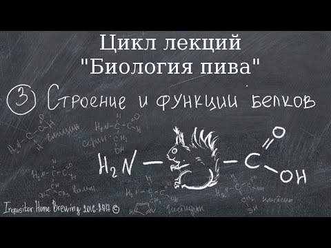Видео: Биология пива. Часть 3. Строение и функции белков.