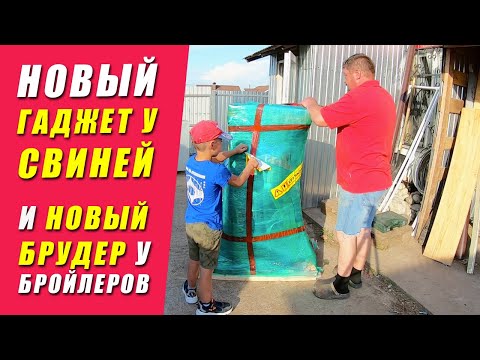 Видео: Распаковка Зернодробилки ТОР | ГЛАВНАЯ ОШИБКА при выращивании бройлеров | Новая Клетка для Бройлеров