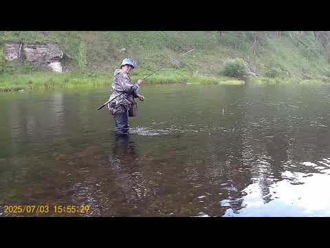 Видео: По немногу клюет