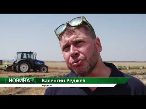 Видео: Новина плюс: Край Сливен стартира жътвата на пшеницата, автор: Валентин Вълчев