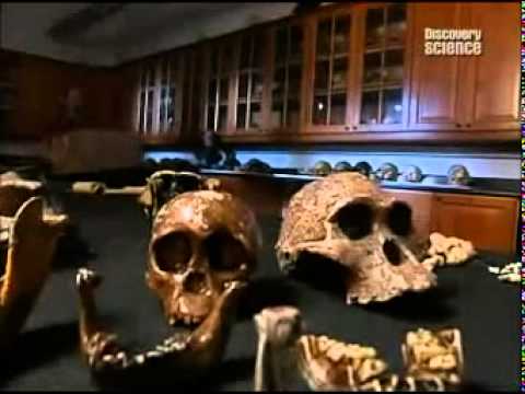 Видео: Снежный человек. Доказываем существование