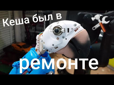 Видео: Попугай Кеша в ремонте! Ремонт интерактивной игрушки Furreal Friends - Умный Кеша