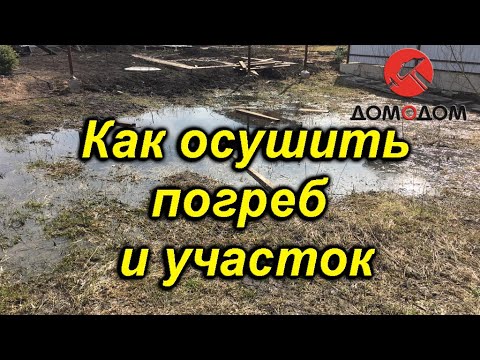 Видео: Как осушить погреб, подвал и участок