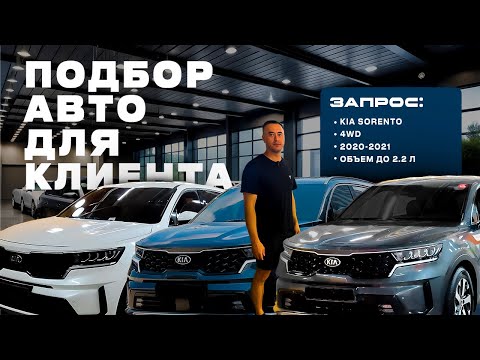 Видео: Подбор автомобиля для клиента. В поисках SORENTO