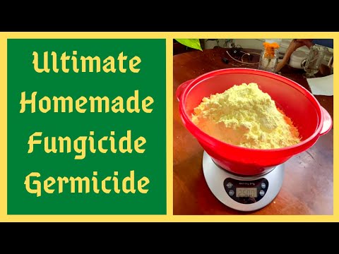 Видео: Самый сильный в мире натуральный фунгицид — попрощайтесь с болезнями растений — как сделать серу ...