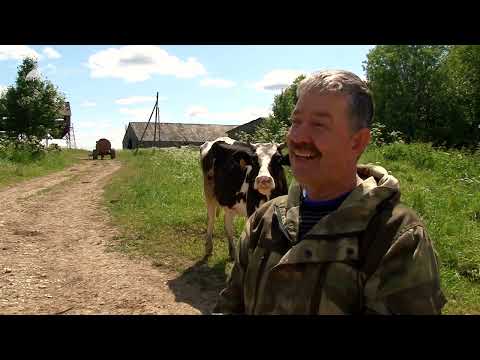 Видео: Дороги деревенские 21.06.23