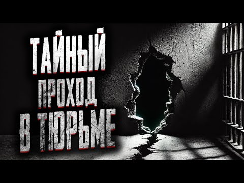 Видео: ТАЙНА КОЛОНИИ №17! Страшные истории на ночь. Мистика. Страшилки на ночь.