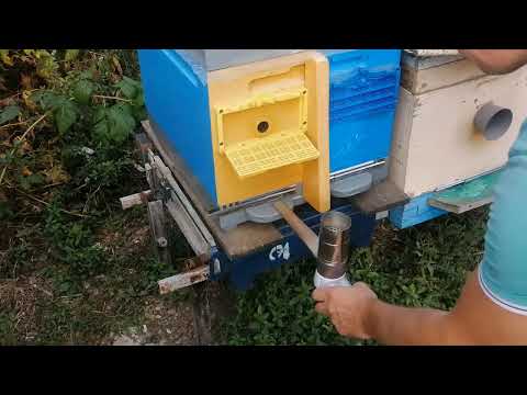 Видео: Простое и Эффективное приспособление борьбы с клещем Варроа и Трахейным .