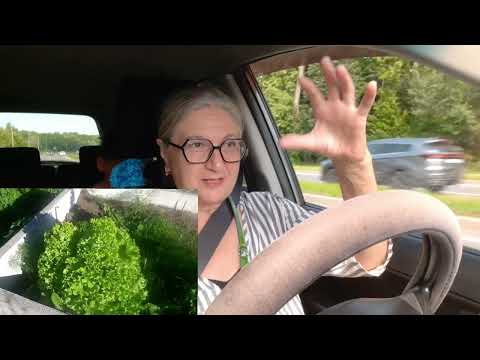 Видео: Показ мод...последние денечки с Мишей. Хохлатые, первое яичко. Рассказываю о продажах.