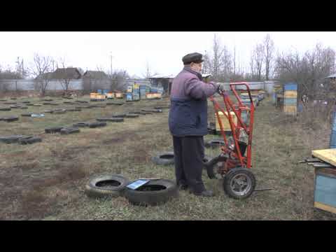 Видео: Перевозка пчёл