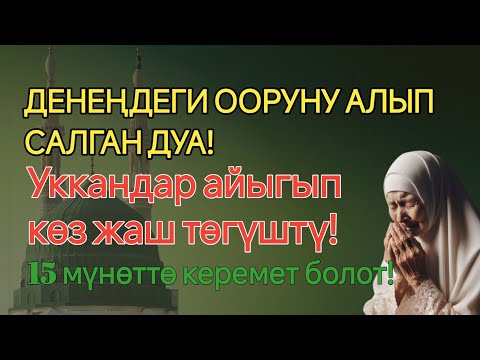 Видео: Керемет дуба — дароо айыгасың! ✨