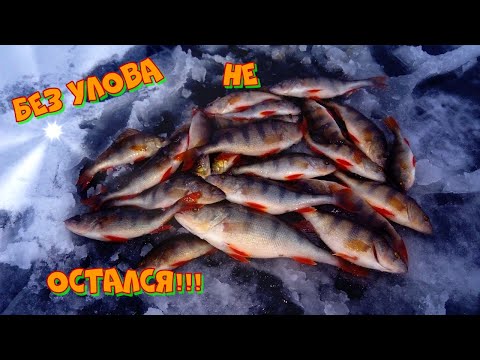Видео: Рыбалка на окуня в морозный денёк!!! Окунь на мормышку. Рыбалка с подводной камерой.