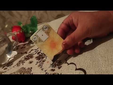 Видео: Шам фоли 998508860639 тел