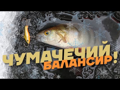 Видео: Окунь сошёл с ума от этого балансира!