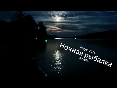 Видео: Август 2025. Ночная рыбалка на Ахтубе. Подготовился и поехал.. 