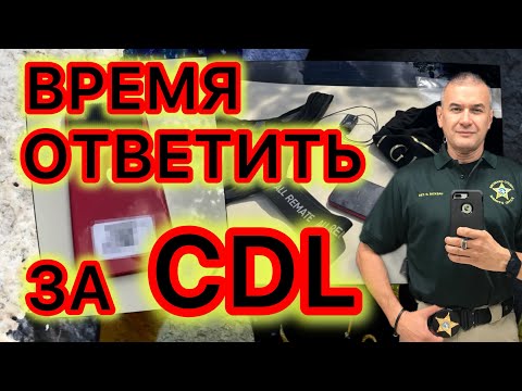 Видео: Аресты за незаконные CDL. Должны ли отвечать те, кто получил эти права нелегально 