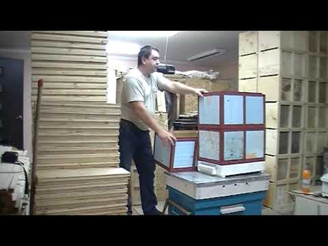 Видео: Альпийский дадан - современный опыт