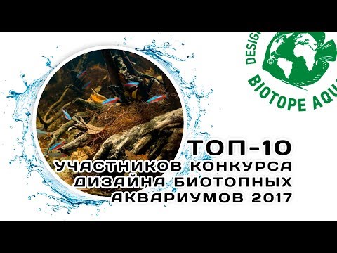 Видео: Топ-10 | Конкурс дизайна биотопных аквариумов 2017 | BADC 2017