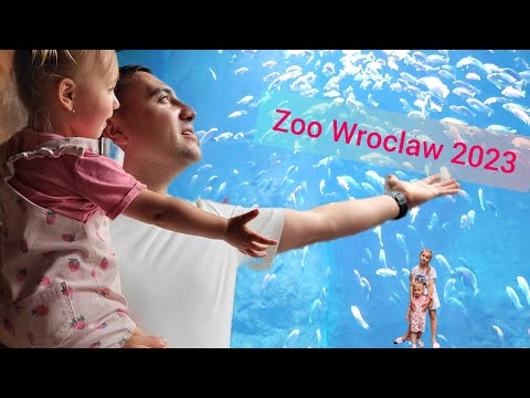Видео: Прогулка в зоопарке. Африканариум и зоопарк Вроцлав. #зоопарк #океанариум #африканариум #вроцлав