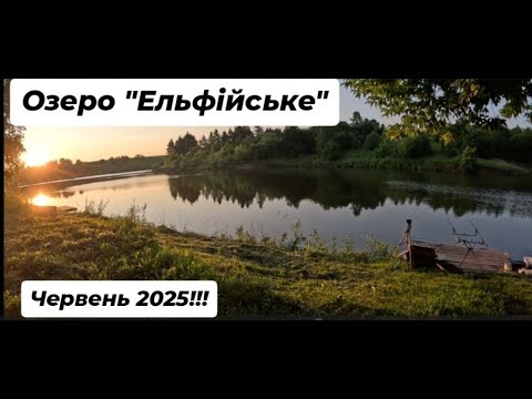 Видео: Риболовля в с. Северинівка Сумського району. Озеро "Ельфійське". Ловля коропа в червні 2025.