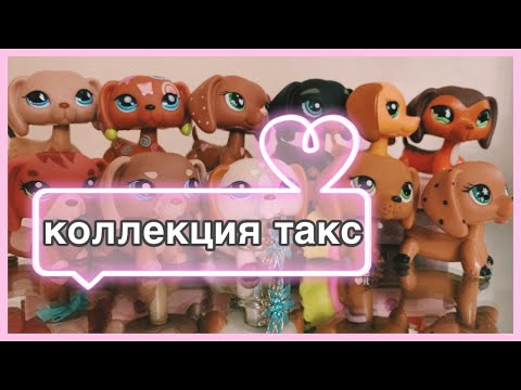 Видео: ЛПС МОЯ КОЛЛЕКЦИЯ ОРИГИНАЛЬНЫХ ТАКС