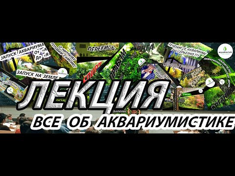 Видео: Основы и правила аквариумистики. Все о содержании аквариума.