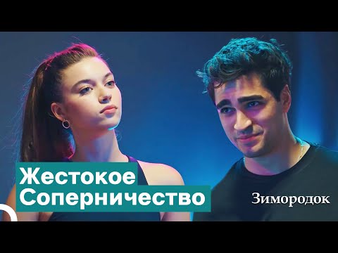 Видео: Зимородок Ферит:Большая Ставка Ферита И Сейрана | Зимородок