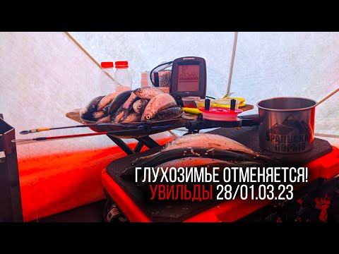 Видео: Рипус озера Увильды. Путь рипусятника часть 2