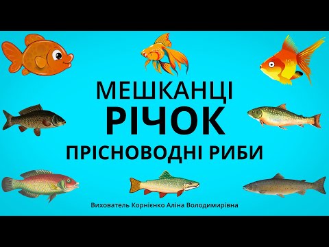 Видео: ПРІСНОВОДНІ РИБИ - Мешканці водойм. Цікаві факти для дітей дошкільного віку